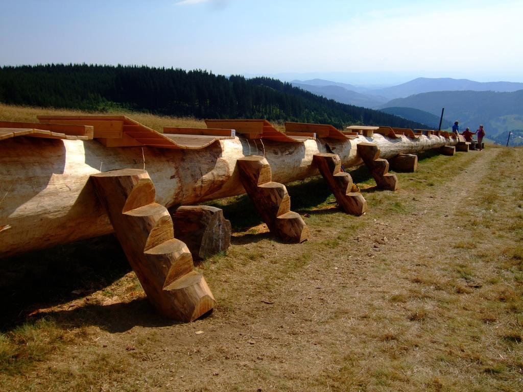 Digitale Panorama Sonnenalm Hochschwarzwald Gasthof Todtnauberg